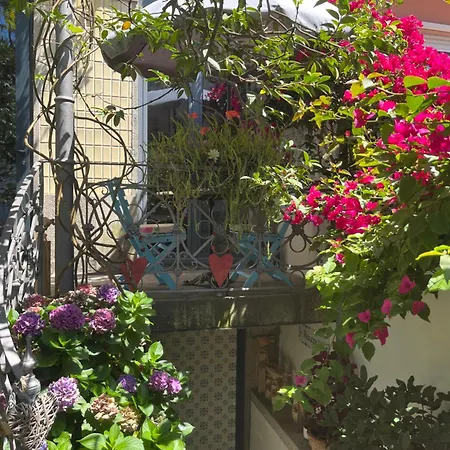 Camelia Bed & Breakfast Oporto