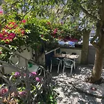 Camelia 住宿加早餐酒店 波尔图
