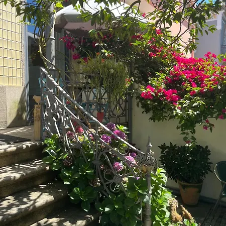 Bed & Breakfast Camelia Porto