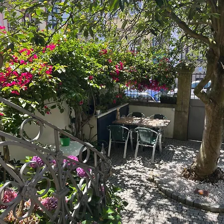 Camelia Nocleg ze śniadaniem Porto