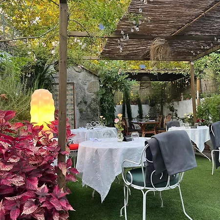 Bed & Breakfast Camelia Porto
