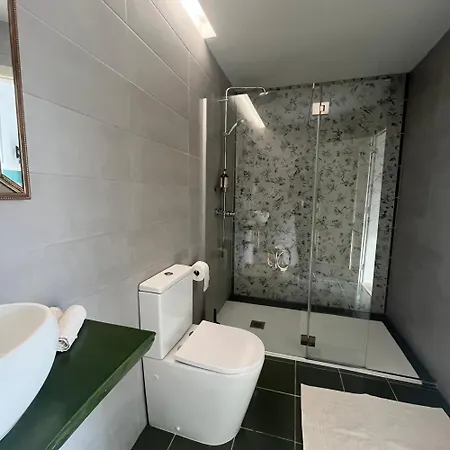 Camelia 3* 포르투