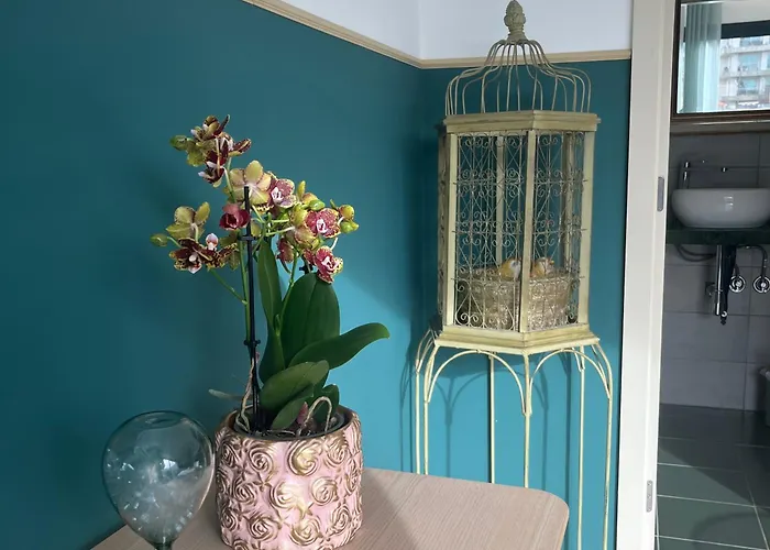 Camélia Bed & Breakfast 3*