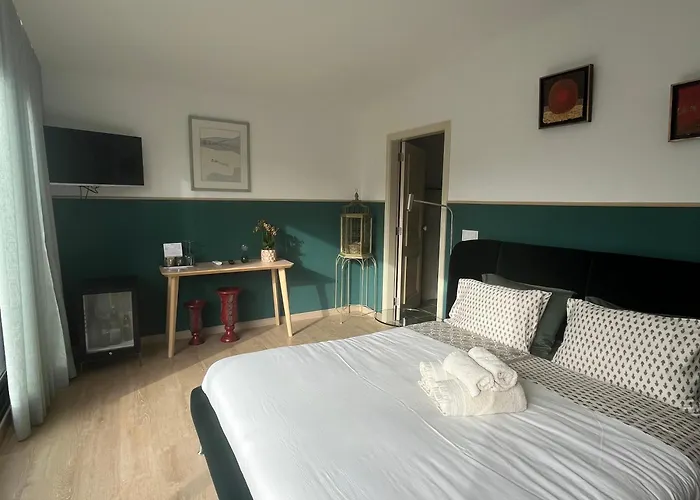 Bed & Breakfast Camélia Oporto