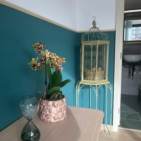 Camélia Bed and breakfast 3*