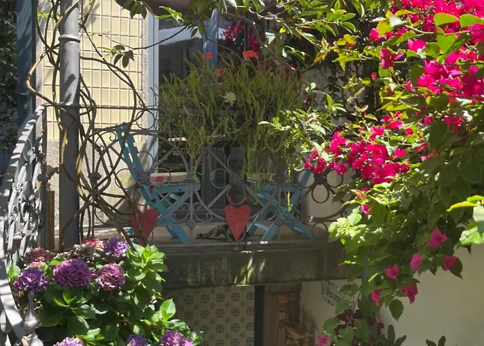 Camelia Panzió Porto